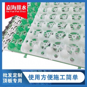 供應惠州各種用途蓄排水板排水板生產(chǎn)廠家 質(zhì)量**