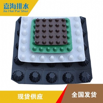 供應廊坊各種用途排水板蓄排水板生產(chǎn)廠家 質(zhì)量**