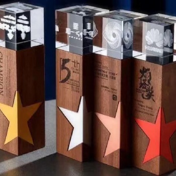 西安樹脂金屬獎(jiǎng)杯 定制 企業(yè)單位紀(jì)念品 會(huì)議晚會(huì)頒獎(jiǎng)比賽獎(jiǎng)品 員工表彰免費(fèi)刻字 獎(jiǎng)杯定制
