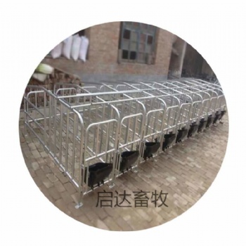 母豬產(chǎn)床廠家供應(yīng)定位欄10個(gè)豬位限位欄10個(gè)鋼板食槽豬用養(yǎng)殖設(shè)備