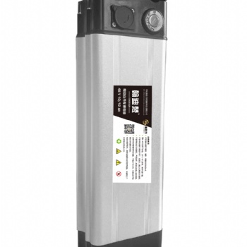 銀魚(yú)款 48v 10ah 電動(dòng)車鋰電池