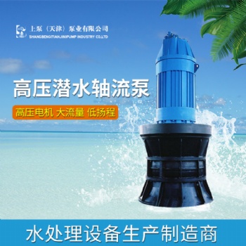 張家界市500QZB潛水軸流泵選型參數(shù)
