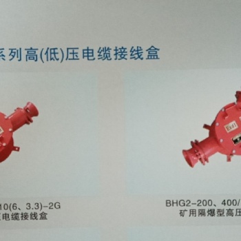 BHG2-400（200）/10-2G，BHG2-400（200）/10-3G礦用隔爆型高壓電纜接線