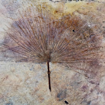 廣東廣州彩色透水地坪供應(yīng) 壓花壓膜地坪 藝術(shù)地坪 地坪材料批發(fā)