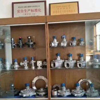 泊頭匯友生產(chǎn)各種型號(hào)電磁脈沖閥供您選擇