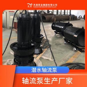 直徑1米2的潛水軸流泵生產廠家