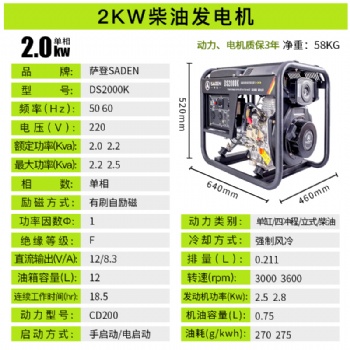 德國技術薩登水泵抽水柴油發電機
