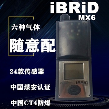 英思科MX6復(fù)合式氣體檢測(cè)儀注意事項(xiàng)