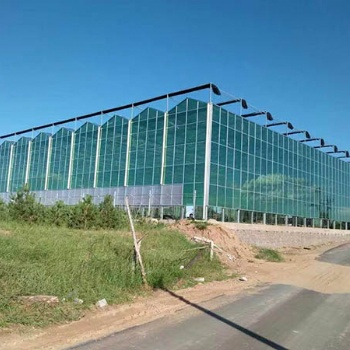 建溫室大棚的看過來，壽光旭峰農業設施大棚管廠，生產安裝一體