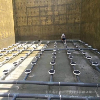 德國(guó)盤式曝氣器 進(jìn)口盤式曝氣器 水處理盤式微孔曝氣器