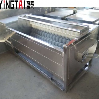 盈泰毛輥去皮去泥清洗機(jī)