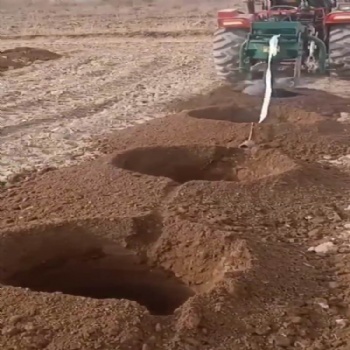 地面挖坑機 種樹專業(yè) 打孔機 出土挖樹窩機