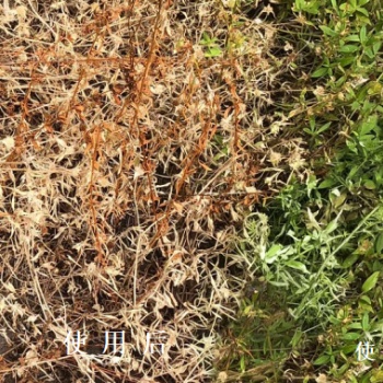 松原液態深層發酵無添加除草醋