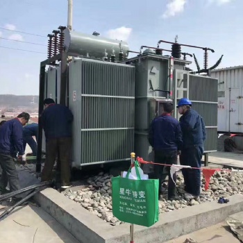 星牛特變1臺頂2臺用，每年節省18萬基本電費。