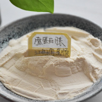 供應生物培養(yǎng)基原料䏡蛋白胨