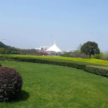 承接園林綠化養(yǎng)護，泰安地區(qū)植物養(yǎng)護