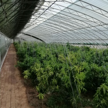 溫室大棚配件電動卷被機