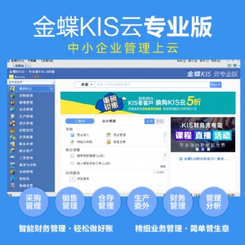 金蝶KIS云專業版V16.0總賬+報表財務ERP軟件
