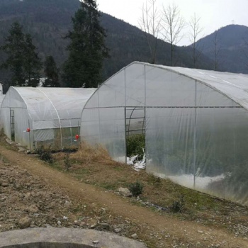 中國河北滄州新華區(qū)溫室大棚配件卷膜器
