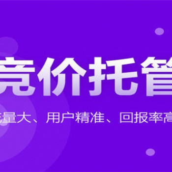 廣東競(jìng)價(jià)托管外包代運(yùn)營(yíng)公司