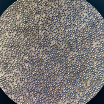 20Cr13不銹鋼粉末 專業不銹鋼粉末生產廠家