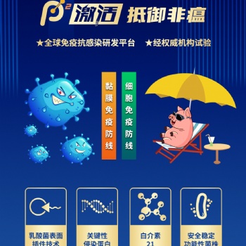P2激活，全面激活抵御非瘟病毒的黏膜免疫和細胞免疫防線！