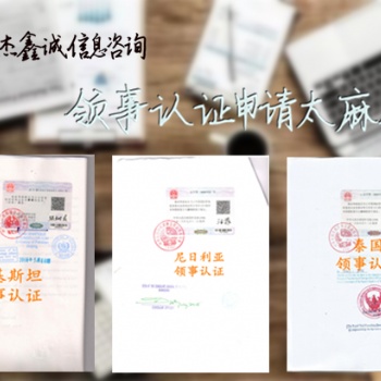 斯威士蘭大使館加簽公司簡介