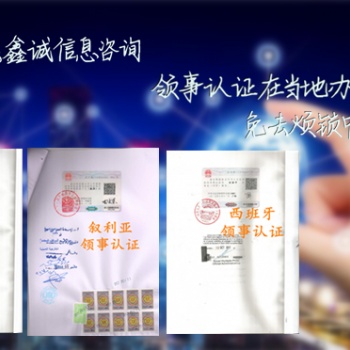 委內(nèi)瑞拉駕照/無(wú)犯罪記錄公證領(lǐng)事館雙認(rèn)證