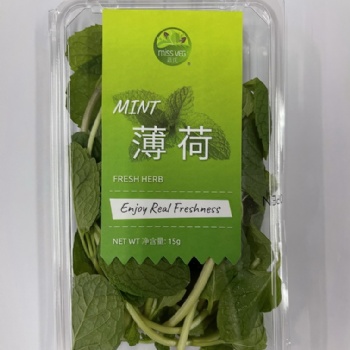 薄荷葉嫩頭新鮮可食用泡水調(diào)酒香料西餐擺盤(pán)裝飾批發(fā)銷(xiāo)售餐飲門(mén)店西餐廳酒店供應(yīng)超市直供全國(guó)物流冷鏈保鮮