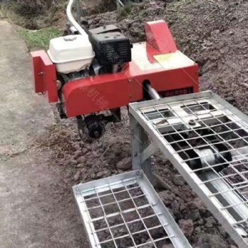 長軌道山地運(yùn)輸車 廣西山地單軌運(yùn)輸車 山地果園爬坡運(yùn)輸車