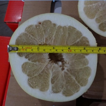 水果驗貨，水果檢驗標準，第三方驗貨公司