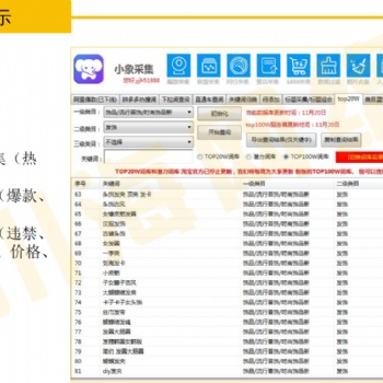 2021拼多多店群采集軟件,一鍵上貨拍單自動(dòng)回復(fù)軟件貼牌招商
