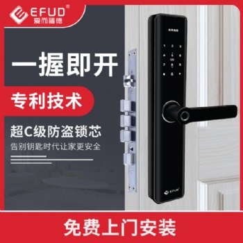 智能鎖，防盜門指紋鎖，酒店民宿密碼鎖，公安監管鎖，公租房鎖