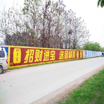 金帝華陰市墻面寫大字廣告億達(dá)大為可為