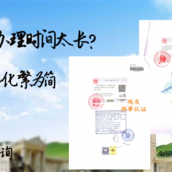 墨西哥使館公司損益表認證辦理需知@墨西哥周年申報表使館認證 **服務