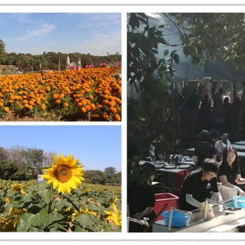 在東莞可以野炊又可以看花休閑游玩的農家樂