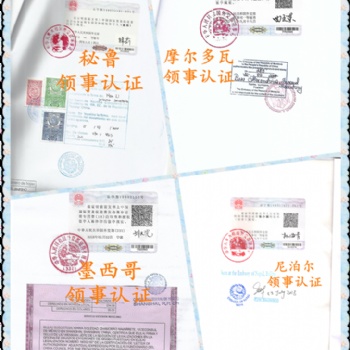 第三方如何辦理財務審計:章程使館簽章