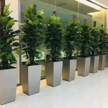 黃埔區(qū)室內(nèi)綠植租擺服務(wù) 酒店租花公司 廣州綠植租憑 價(jià)格實(shí)惠