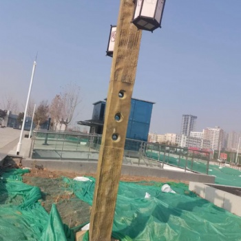太陽(yáng)能景觀燈 庭院燈 照明