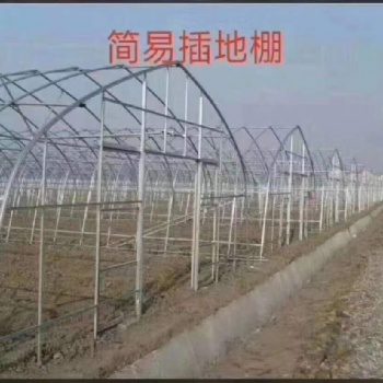 鑫駿通達(dá)大棚鋼結(jié)構(gòu)生產(chǎn)銷(xiāo)售