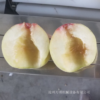 供應(yīng)桃子去核機(jī) 桃去核切瓣機(jī) 桃脯桃罐頭使用機(jī)器
