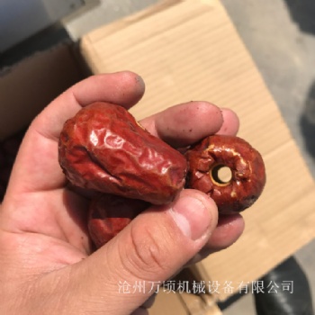 寧夏駿棗去核機(jī)全系列全規(guī)格