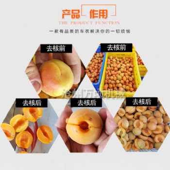 江西我愛發(fā)明杏子去核機(jī)視頻