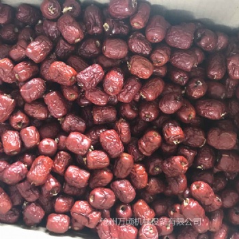 深圳干棗去核機(jī)價(jià)格工藝精良