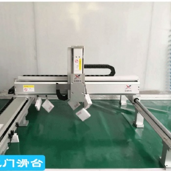 滾珠絲桿滑臺龍門工作臺非標(biāo)自動化設(shè)備機(jī)械手