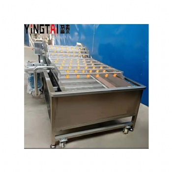 多功能蔬菜氣泡清洗機(jī)