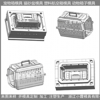 空運(yùn)便攜托運(yùn)動(dòng)物籠注塑模具設(shè)計(jì)