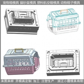 折疊飛機(jī)托運(yùn)寵物箱子塑料模具供應(yīng)商
