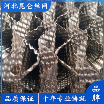 金屬孔板填料 不銹鋼網(wǎng)板填料 昆侖絲網(wǎng) 源頭工廠 可定制
