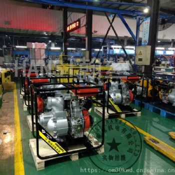 本溪市6寸口徑鑄鋁混流泵德國(guó)翰絲柴油機(jī)動(dòng)力
